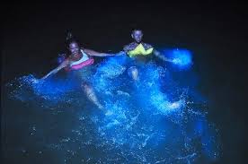 Blue Beat