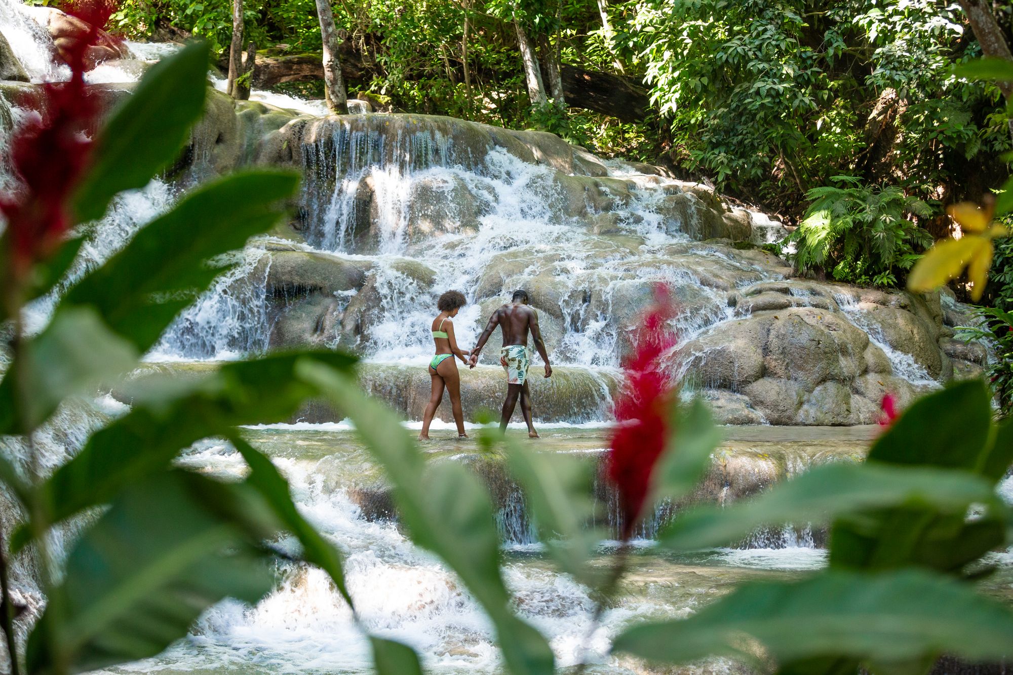 🌿 Dunn’s River Falls Adventure Experience